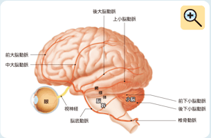 図：神経内科領域のめまい